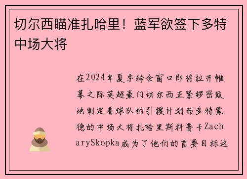 切尔西瞄准扎哈里！蓝军欲签下多特中场大将